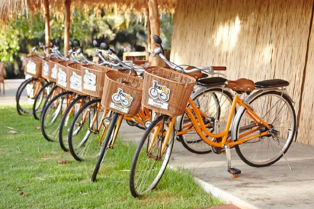 Resort Asita Eco 4*