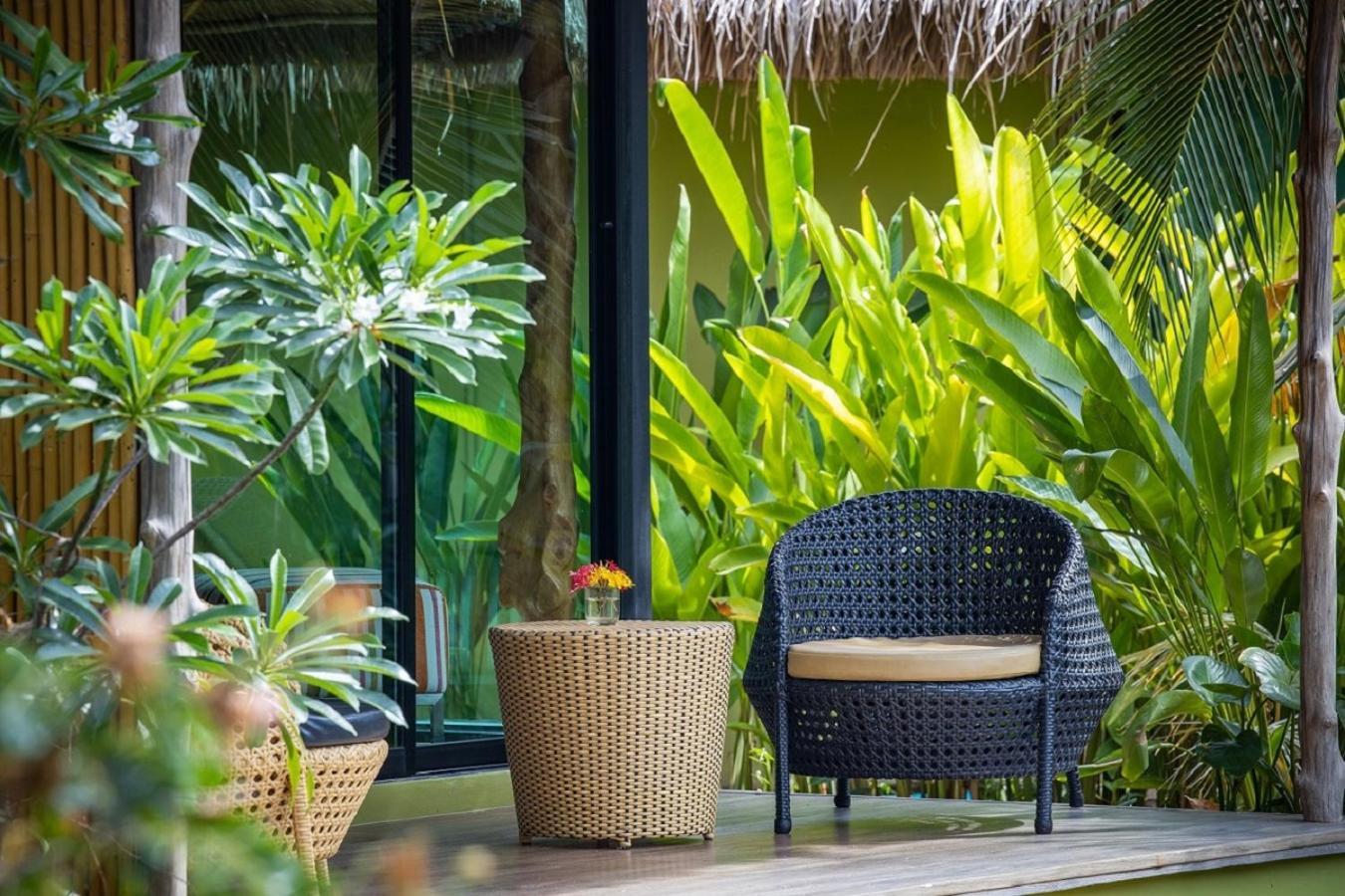 Resort Asita Eco